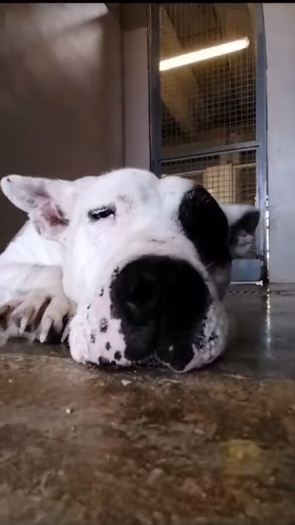 Magda, ci sarà pure qualcuno per te! Foto 10